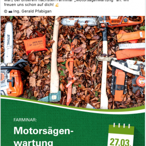 Motorsägenwartung