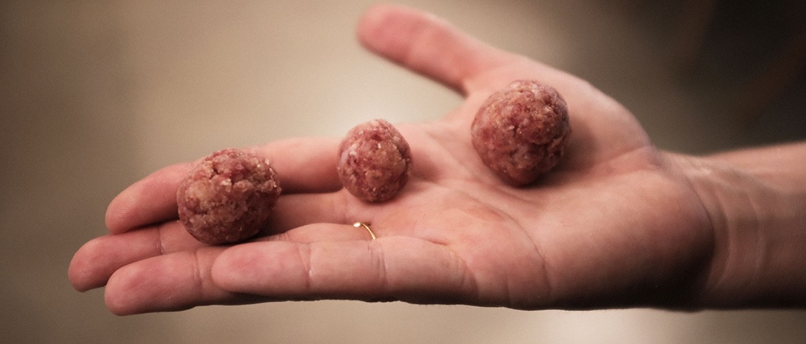 Köttbullar