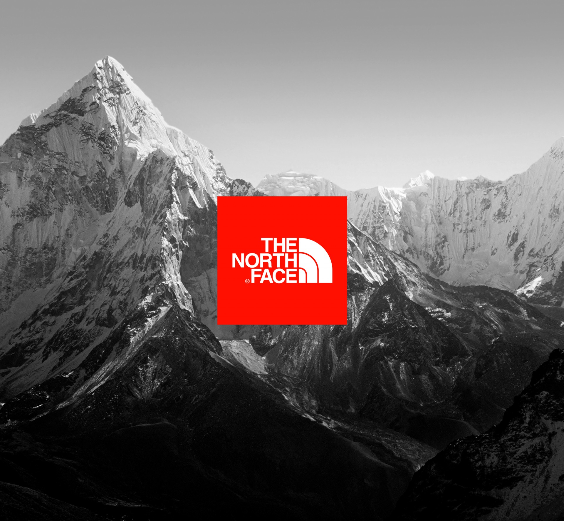 TNF
