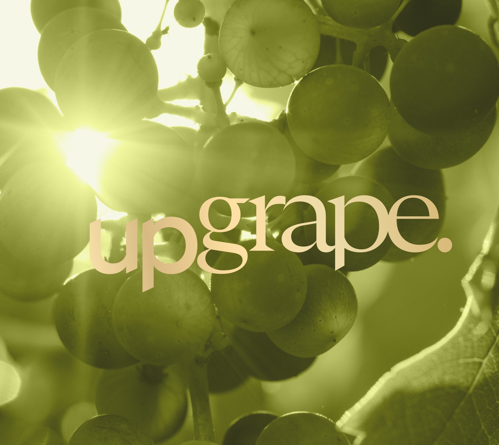 upgrape